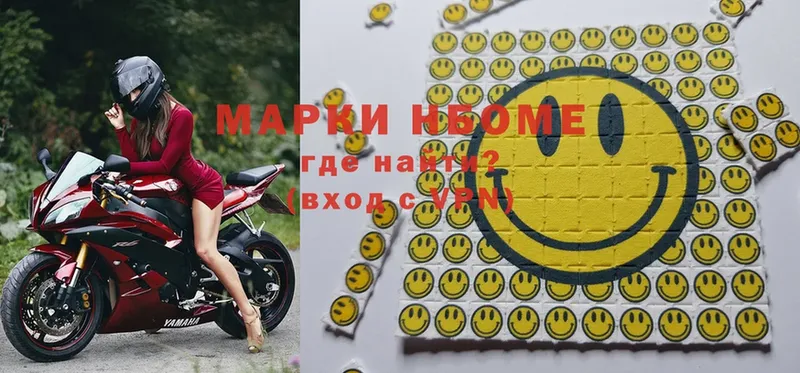 Псилоцибиновые грибы Бежецк